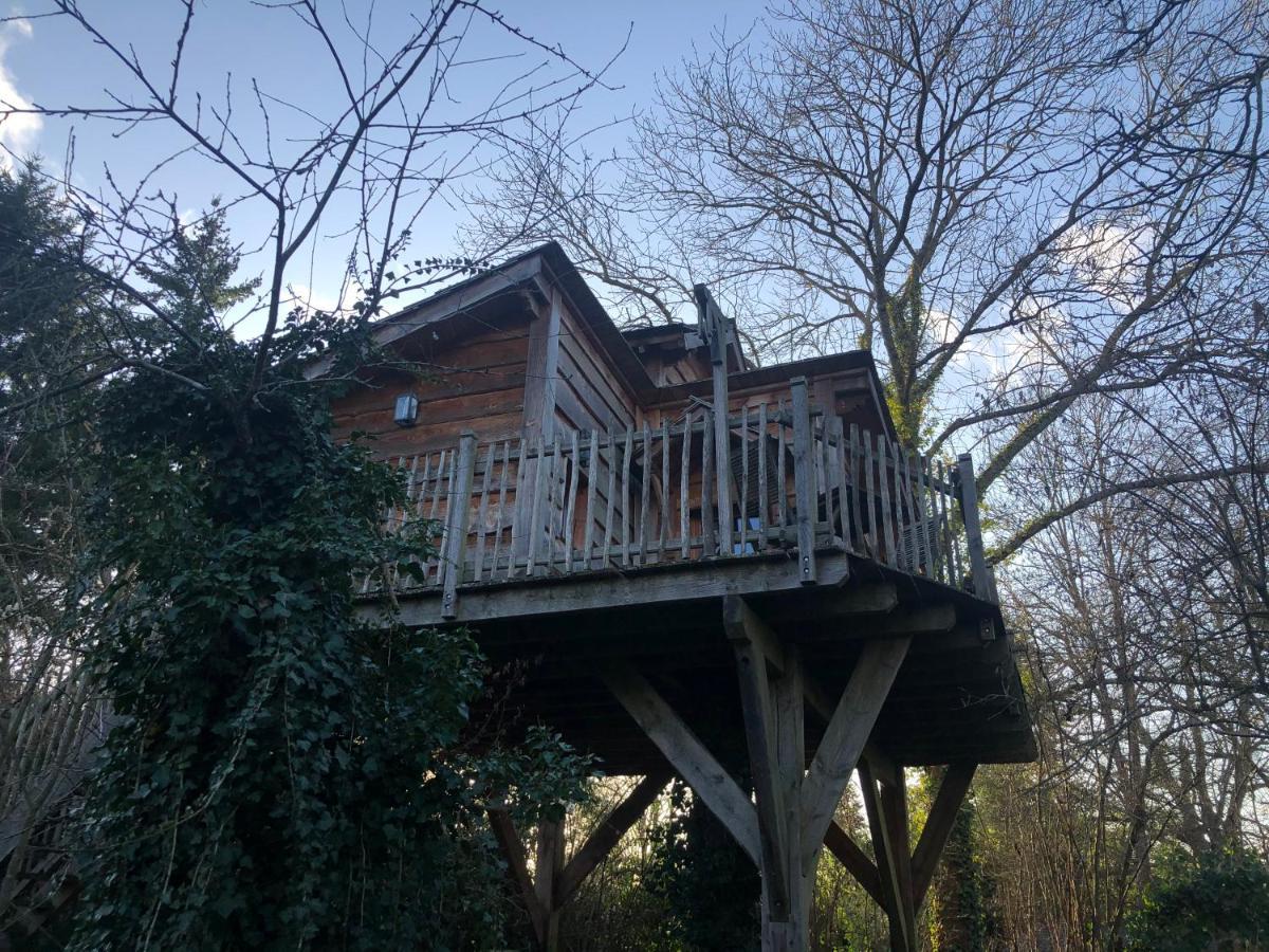 Chambres D'Hotes De La Vallee Javot Fericy Exterior photo